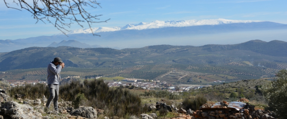 Trabajo de campo